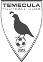 football crest